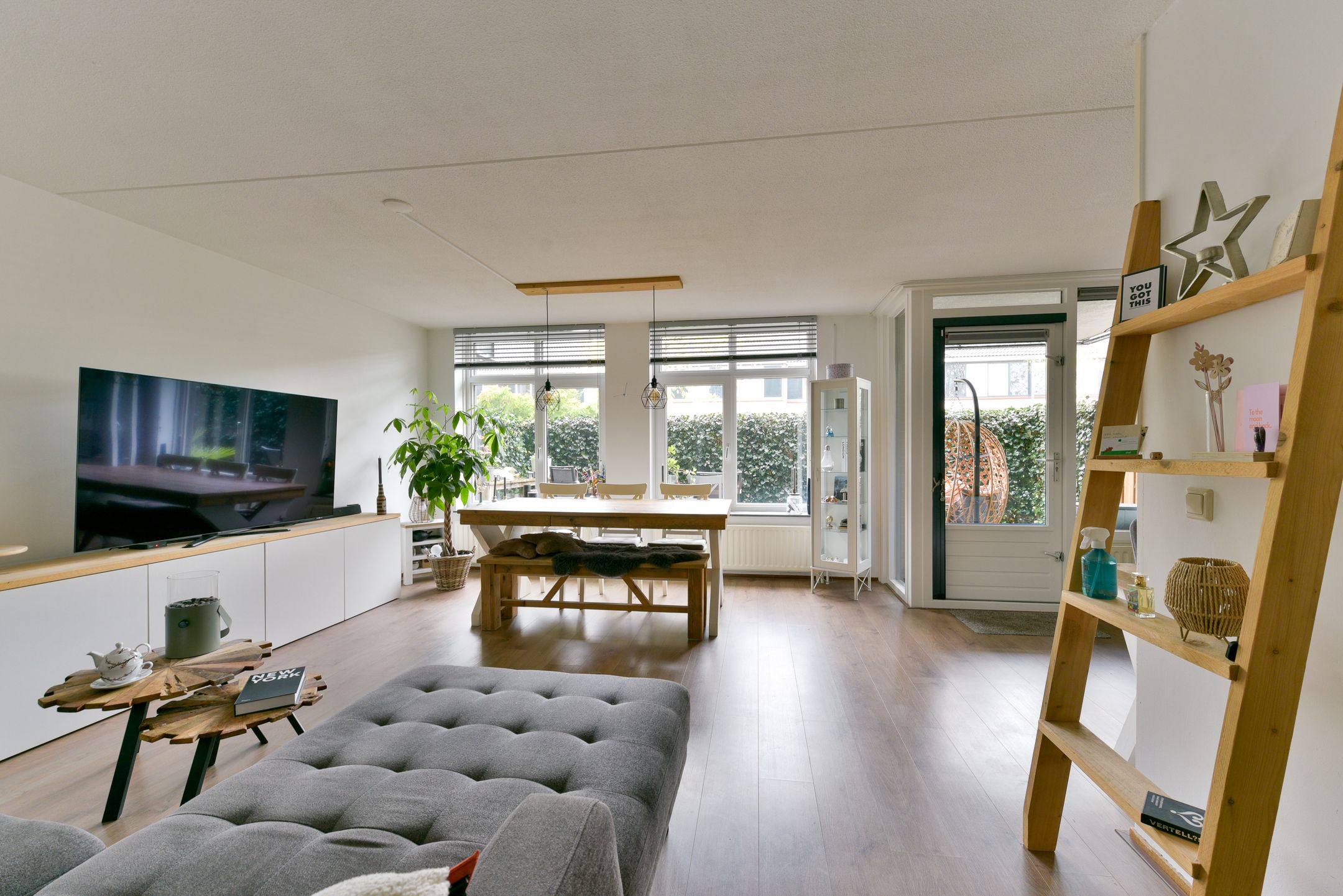 Photo 3 of Aalscholver 7