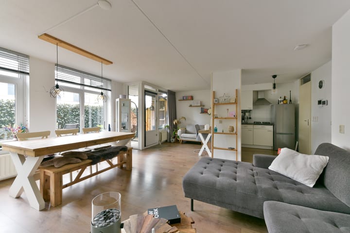 Foto 4 van Aalscholver 7