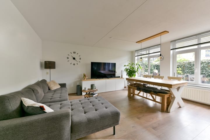 Foto 5 van Aalscholver 7