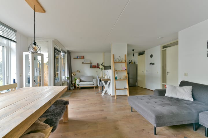 Foto 6 van Aalscholver 7