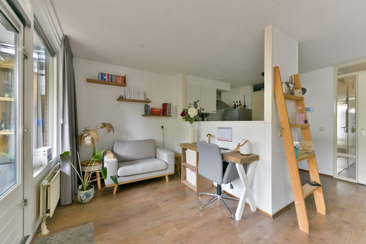 Foto 7 van Aalscholver 7