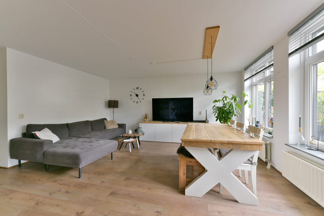 Photo 8 of Aalscholver 7