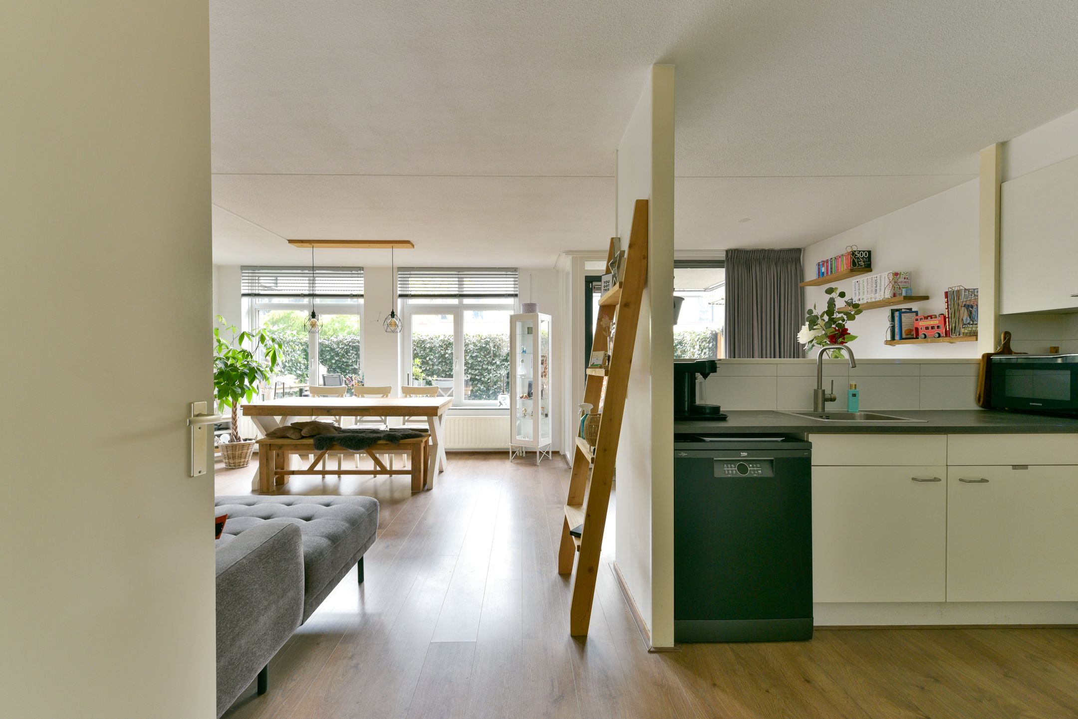 Photo 9 of Aalscholver 7