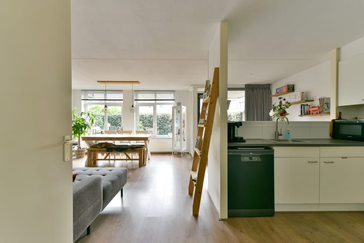 Foto 9 van Aalscholver 7