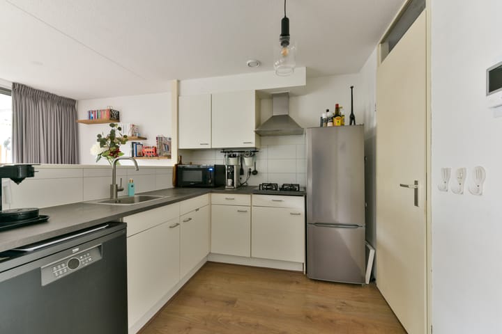 Foto 10 van Aalscholver 7