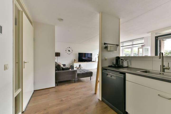 Foto 11 van Aalscholver 7