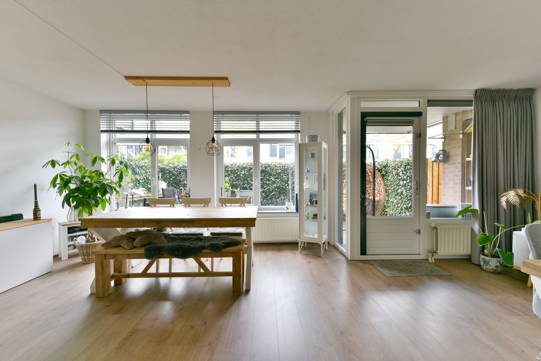 Photo 12 of Aalscholver 7