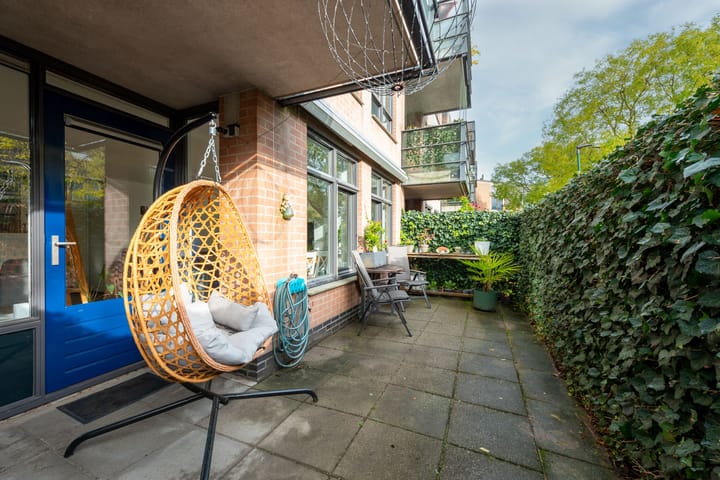 Foto 13 van Aalscholver 7