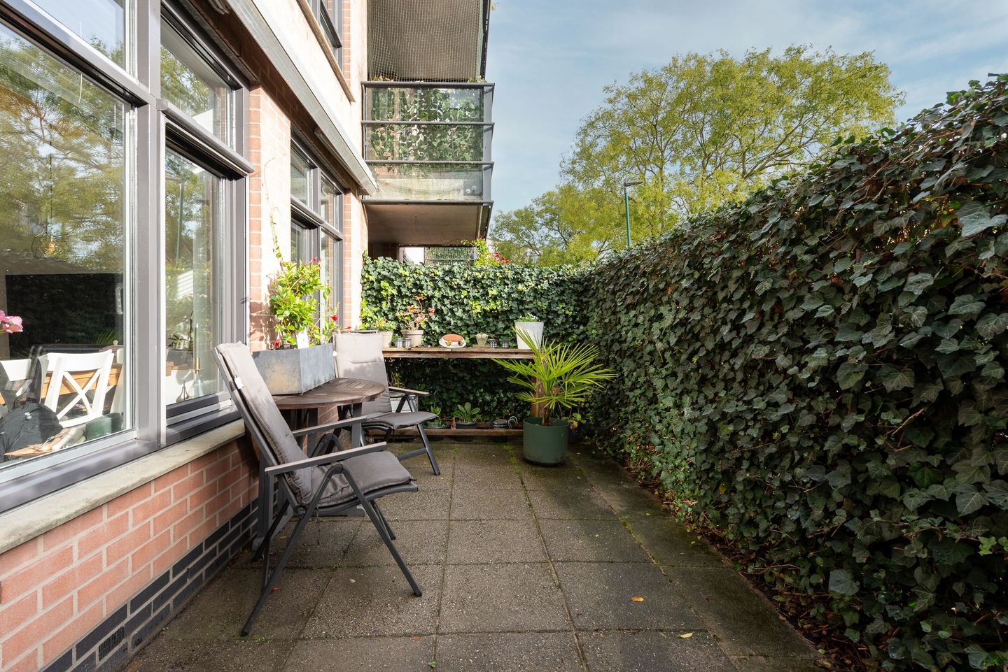 Photo 14 of Aalscholver 7