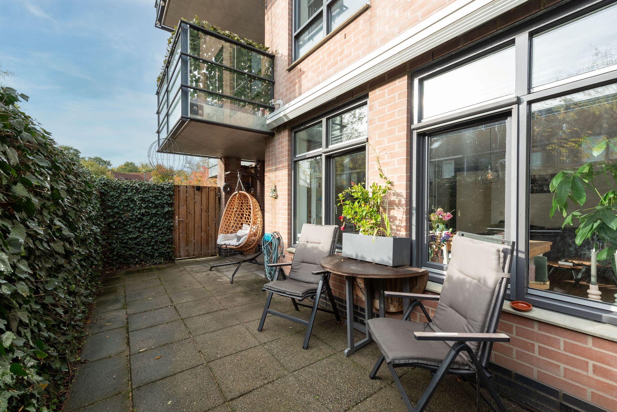 Photo 15 of Aalscholver 7