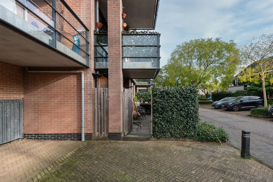 Photo 16 of Aalscholver 7