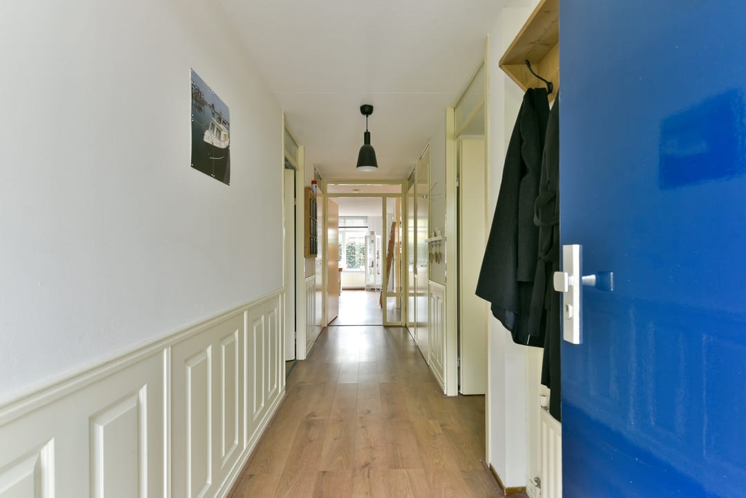 Photo 17 of Aalscholver 7