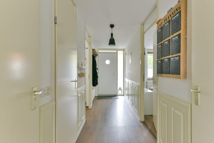 Foto 18 van Aalscholver 7