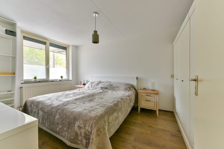 Foto 19 van Aalscholver 7