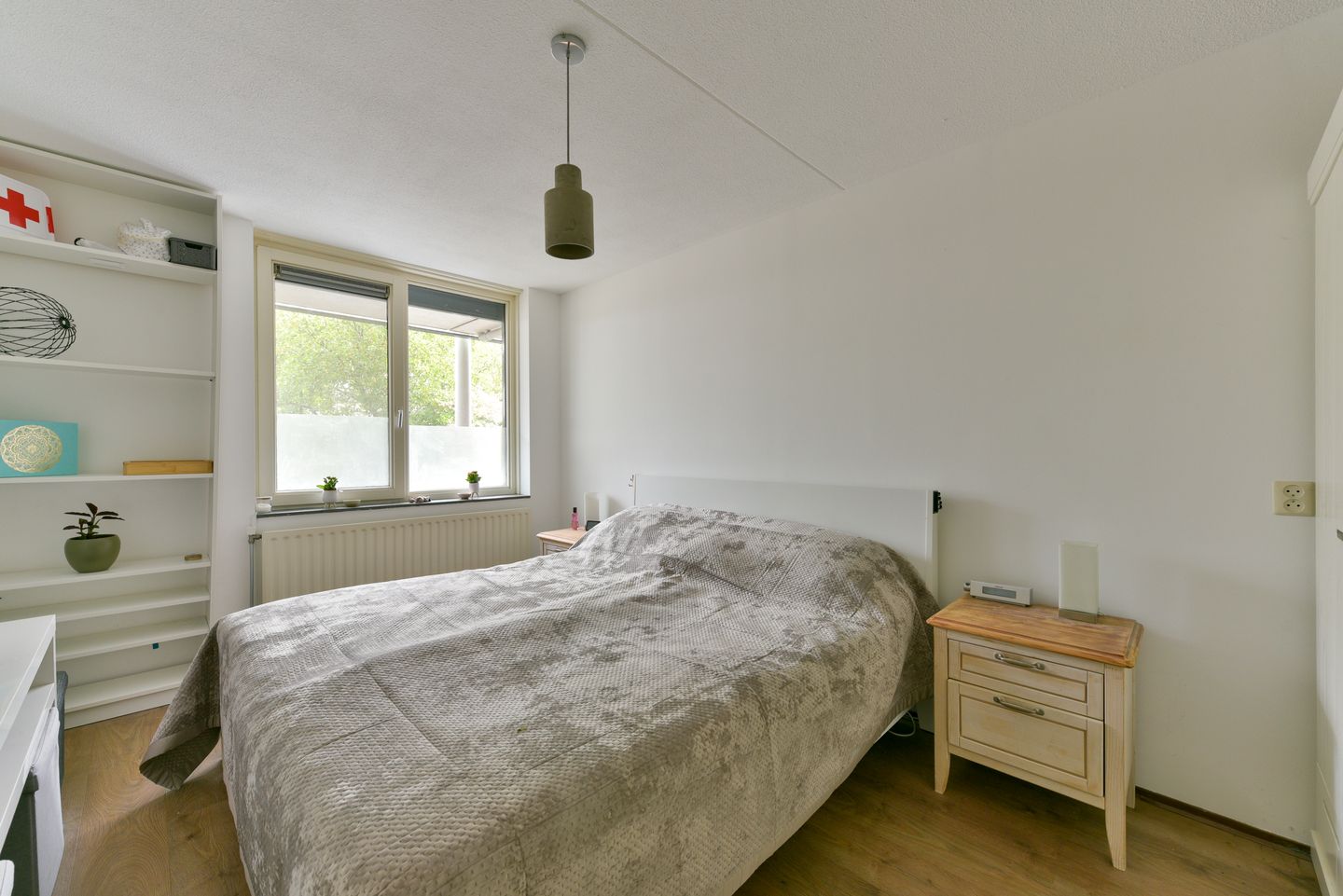 Photo 20 of Aalscholver 7