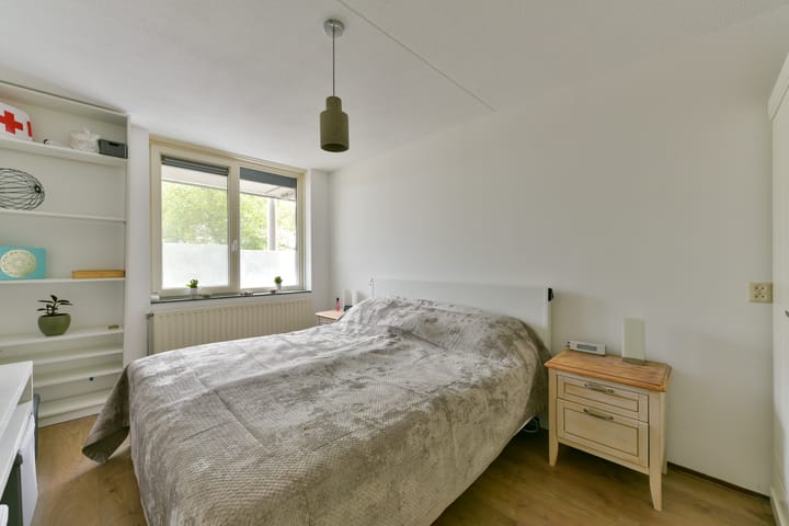 Foto 20 van Aalscholver 7