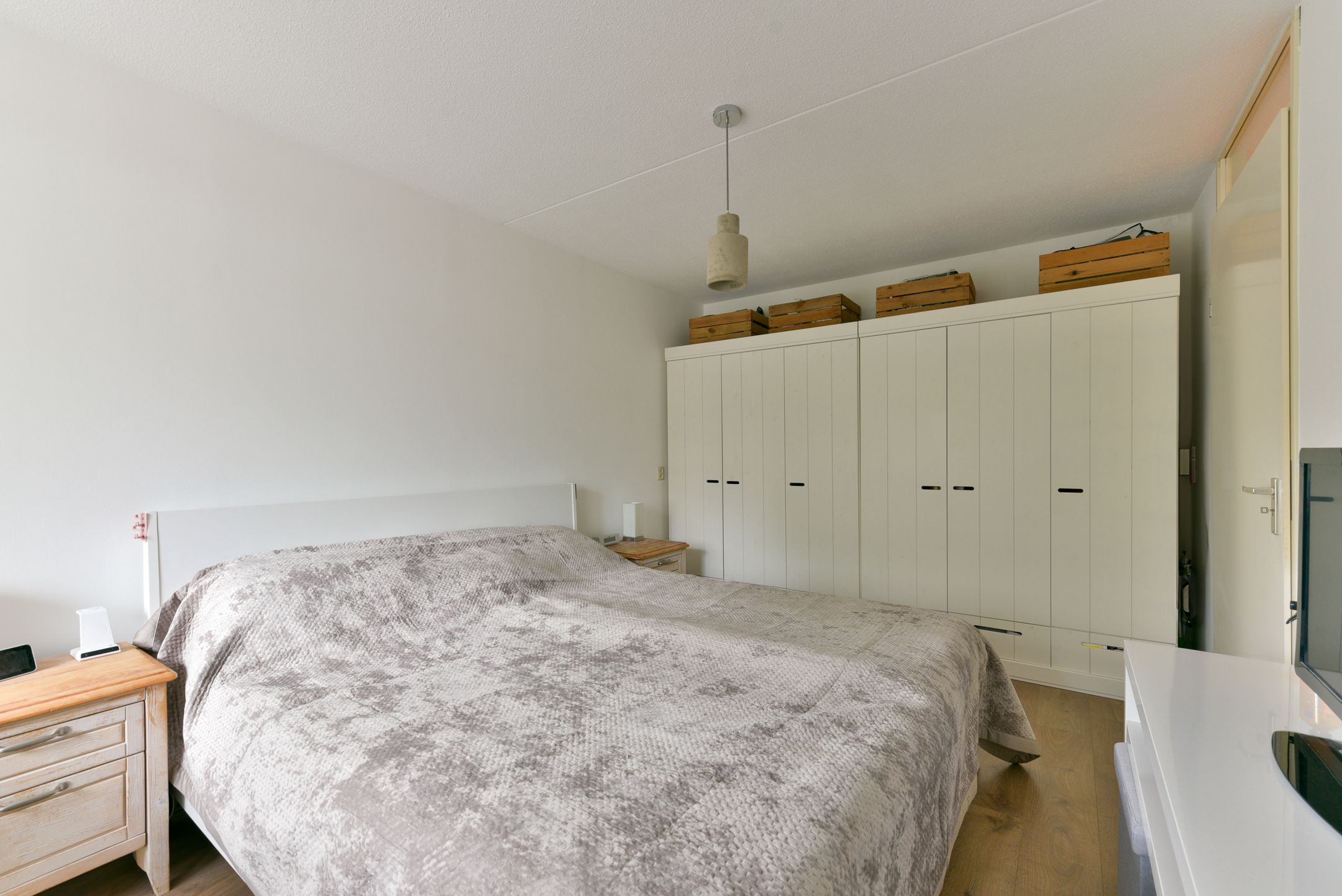 Photo 21 of Aalscholver 7