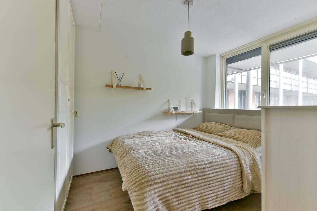 Photo 23 of Aalscholver 7