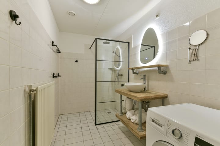 Foto 24 van Aalscholver 7