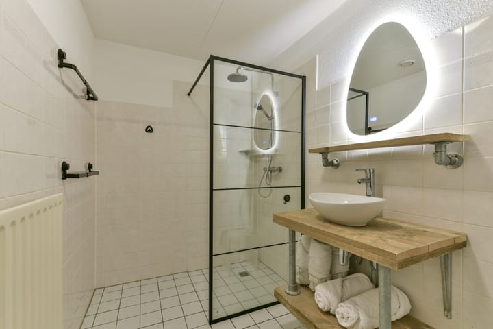 Foto 25 van Aalscholver 7