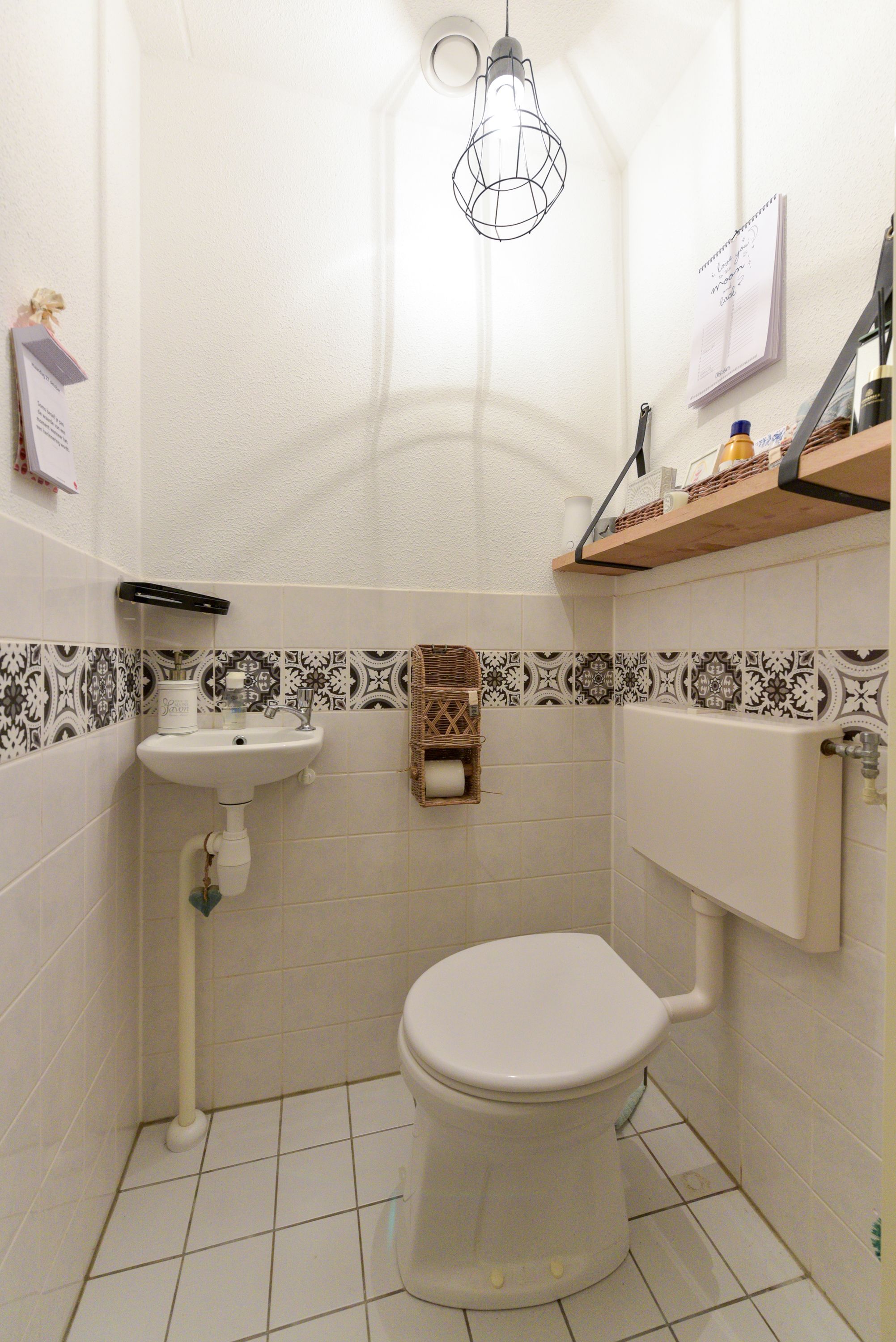 Photo 27 of Aalscholver 7