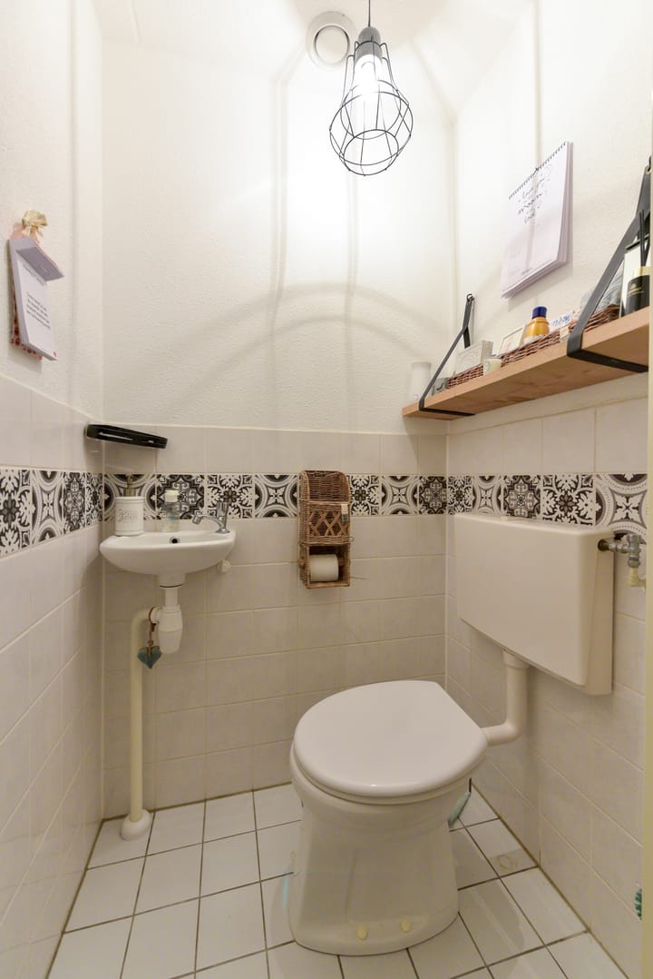 Foto 27 van Aalscholver 7