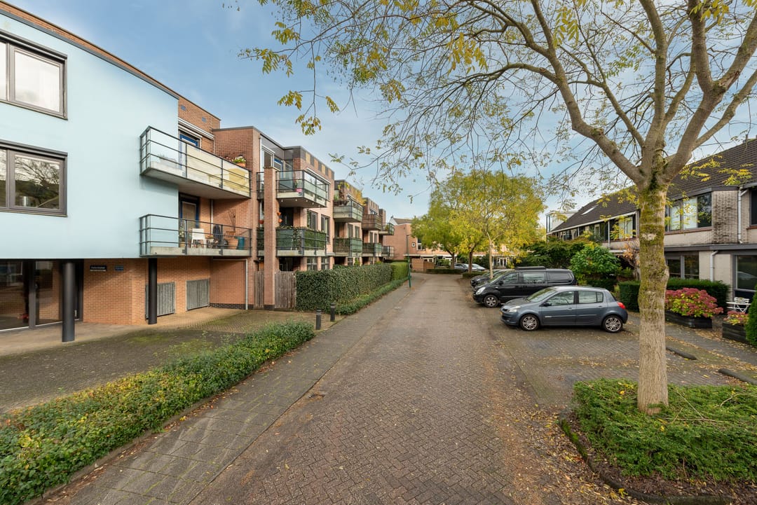 Photo 28 of Aalscholver 7