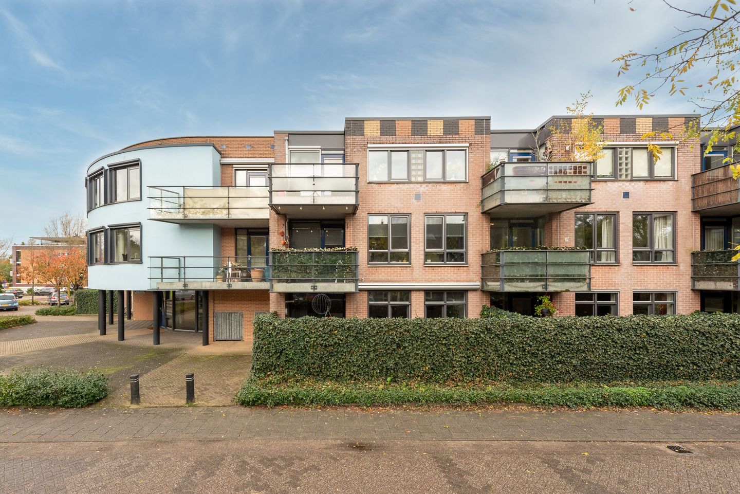 Photo 29 of Aalscholver 7