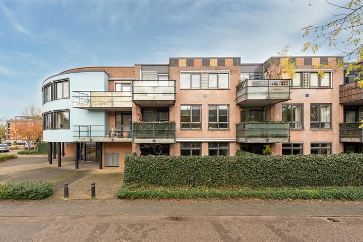 Foto 29 van Aalscholver 7