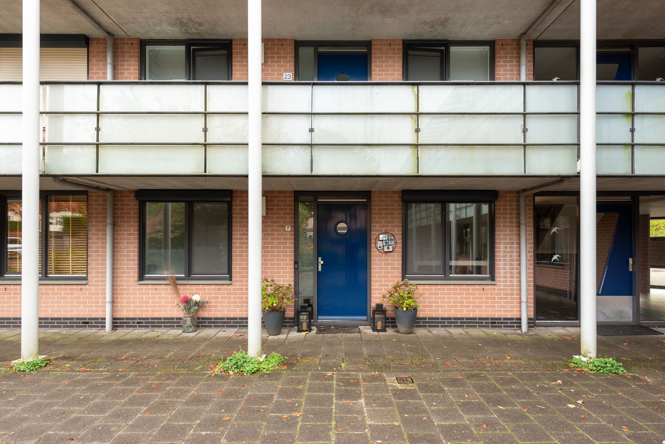 Photo 30 of Aalscholver 7