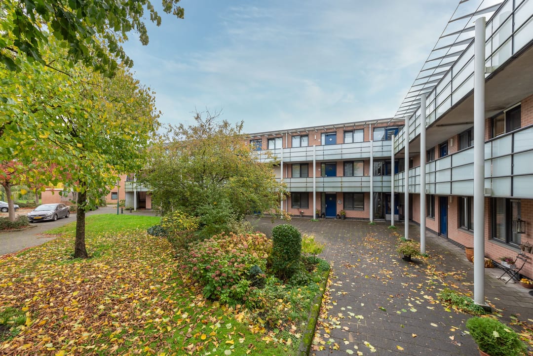 Photo 31 of Aalscholver 7