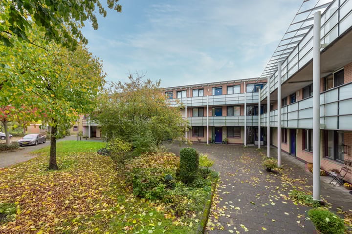 Foto 31 van Aalscholver 7