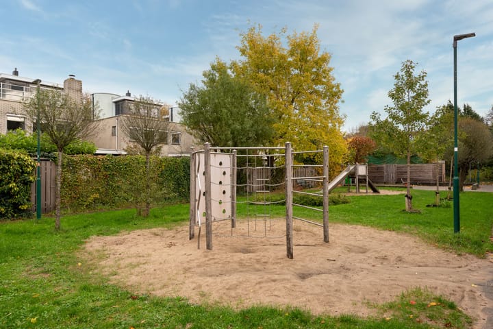 Foto 32 van Aalscholver 7