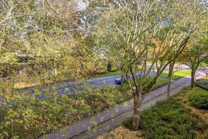 Foto 22 van Burgemeester Wapstraat 72