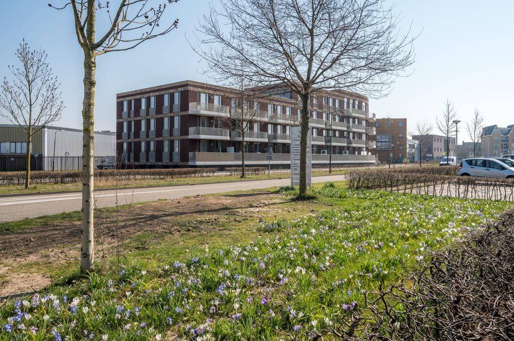 Foto 3 van Het Hout 16