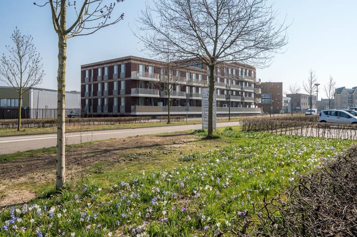 Foto 3 van Het Hout 16