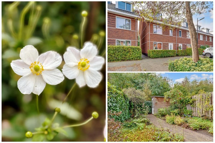 Foto 2 van Kometenlaan 30