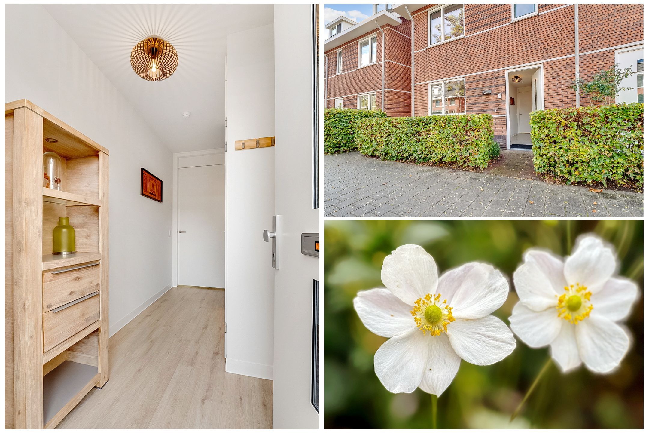 Foto 3 van Kometenlaan 30