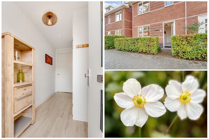 Foto 3 van Kometenlaan 30