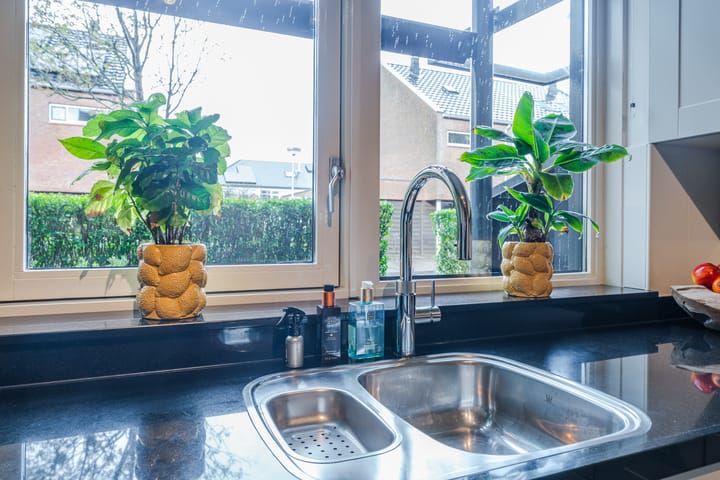 Foto 27 van Dwergbieslaan 10