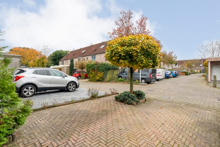 Foto 3 van Haeckmate 100