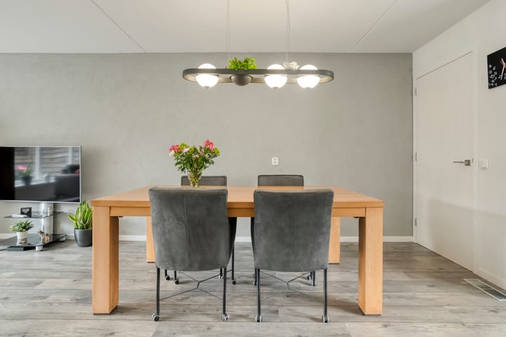 Foto 8 van Haeckmate 100