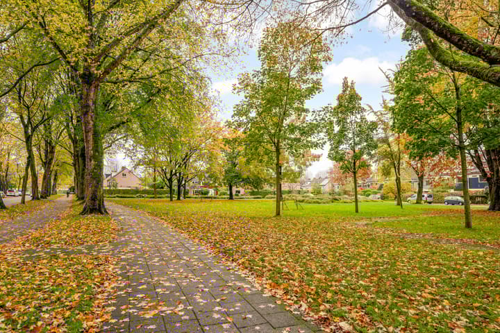 Foto 66 van Hoefijzerlaan 43