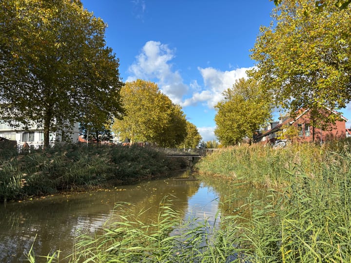 Foto 38 van Willem Kloospad 17