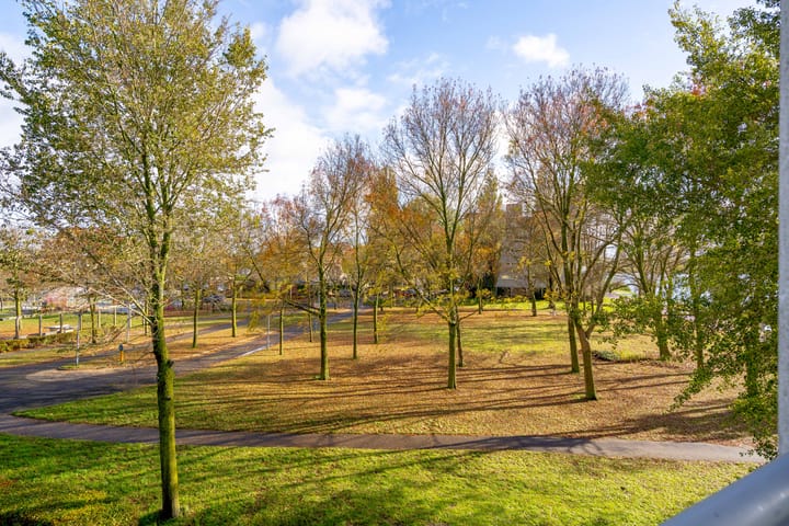 Foto 52 van Fellinilaan 332