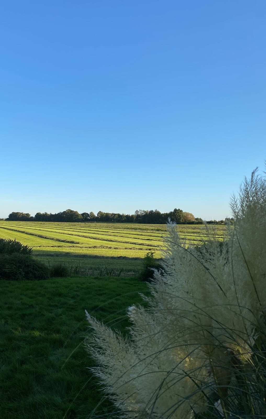 Photo 33 of Fiifgeawei 8