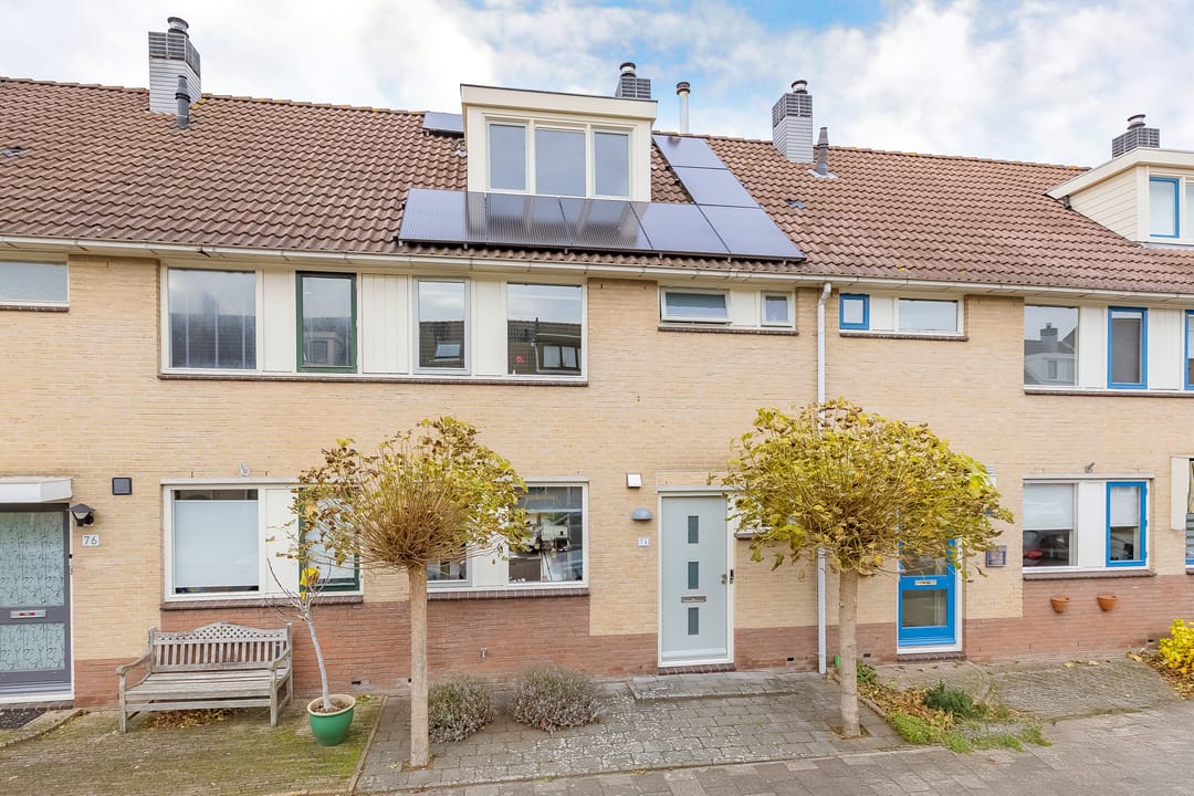 Foto 1 van Grote Boterbloem 74