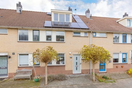 Grote Boterbloem thumbnail