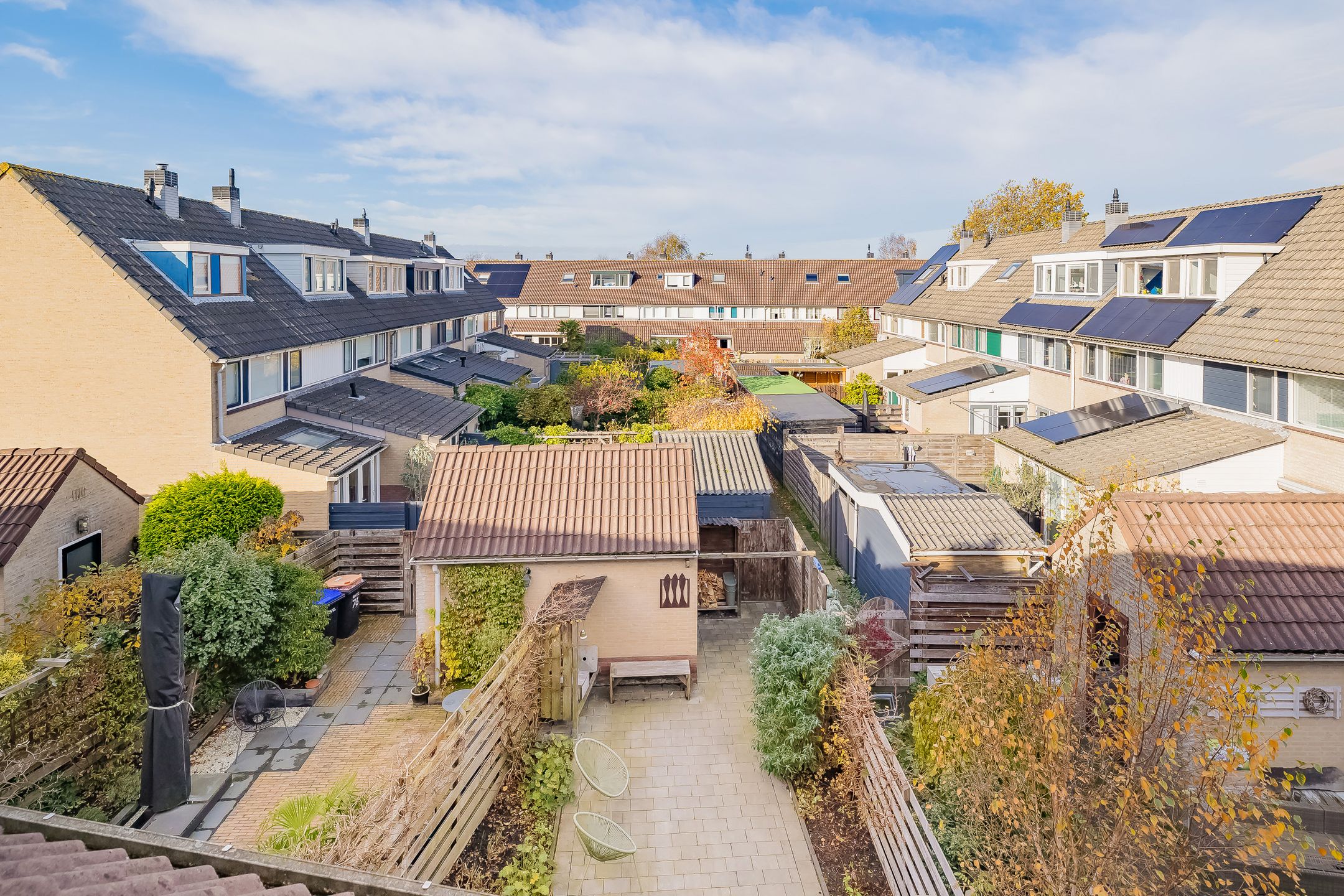 Foto 42 van Grote Boterbloem 74