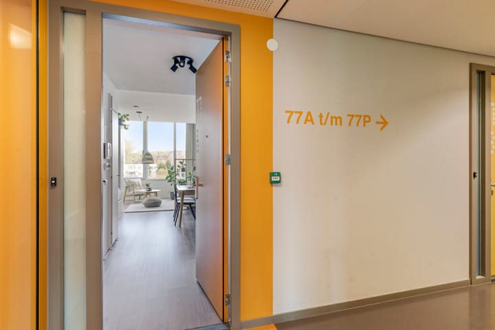 Photo 10 of Bos en Lommerplantsoen 77-A